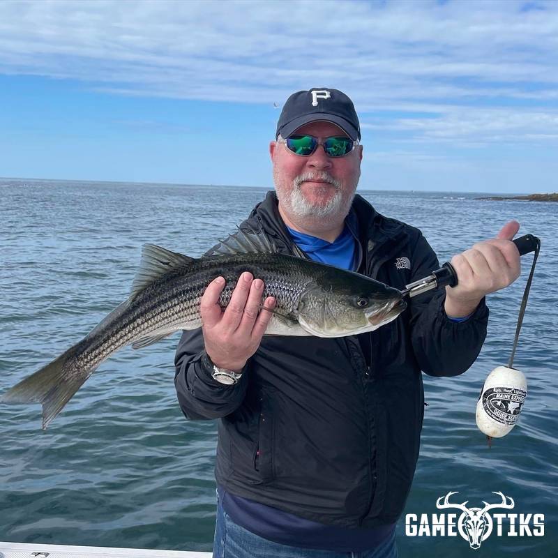 fish harvest by Maine Experience Guide Service