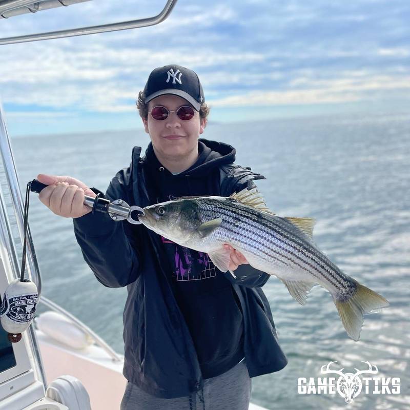 fish harvest by Maine Experience Guide Service