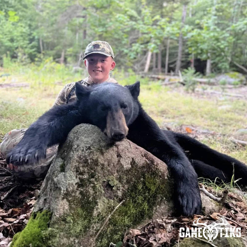 bear harvest by Marsh River Outfitters