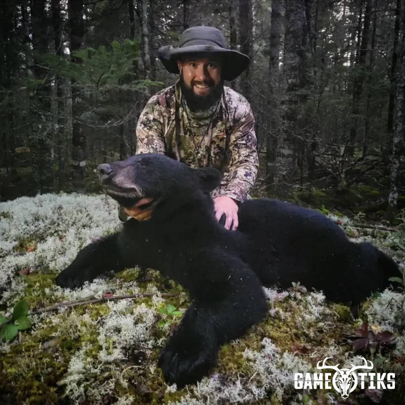 bear harvest by Marsh River Outfitters