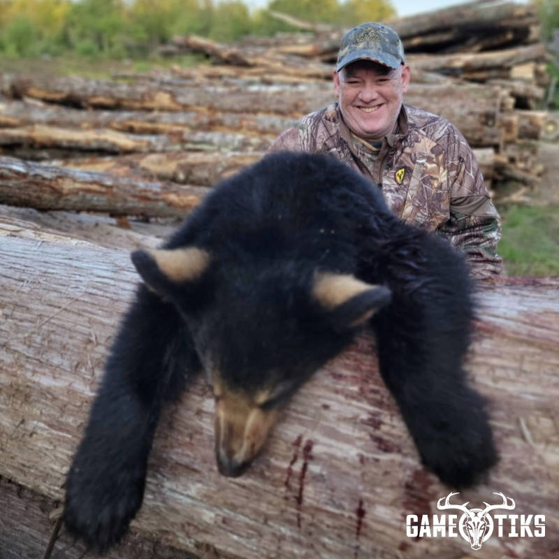 bear harvest by Marsh River Outfitters