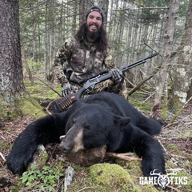 bear harvest by Marsh River Outfitters
