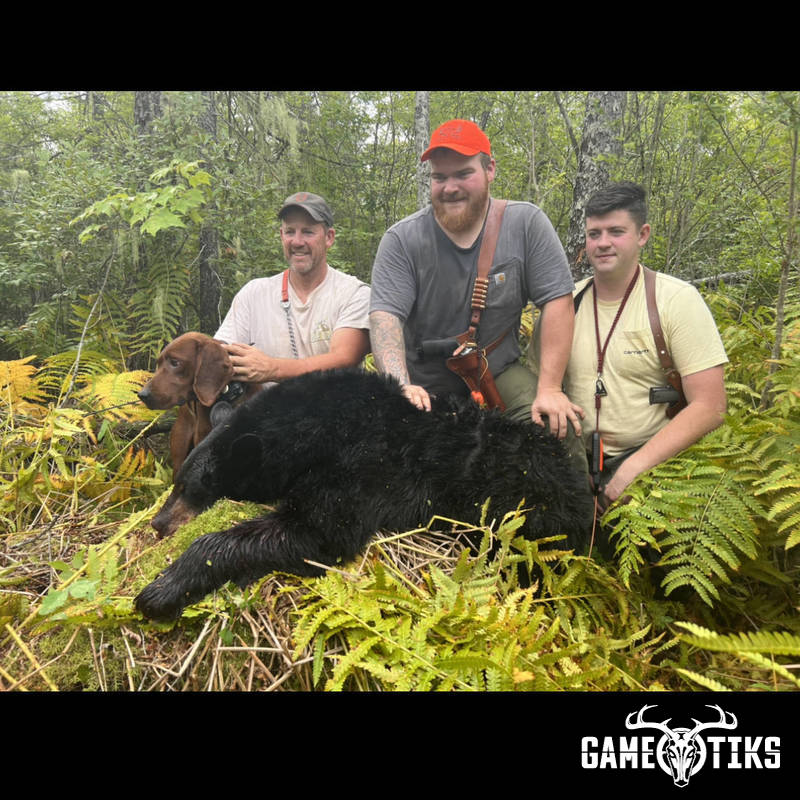 bear harvest by Marsh River Outfitters