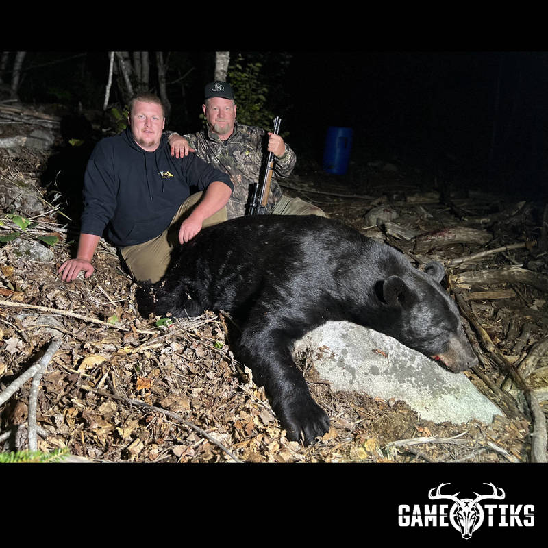 bear harvest by John Gibbs
