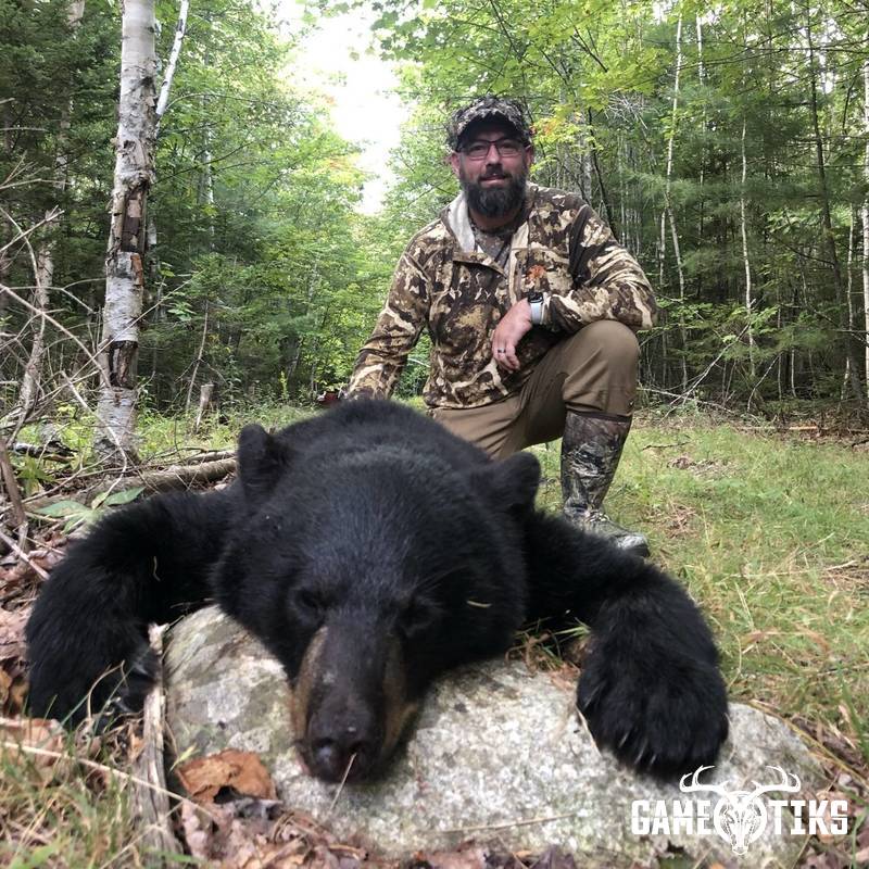 bear harvest by Roger Burwell