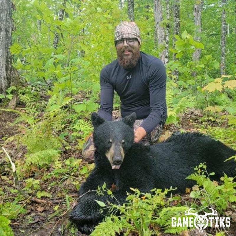 bear harvest by Northeast Wilderness Outfitters