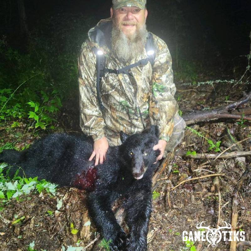 bear harvest by Northeast Wilderness Outfitters