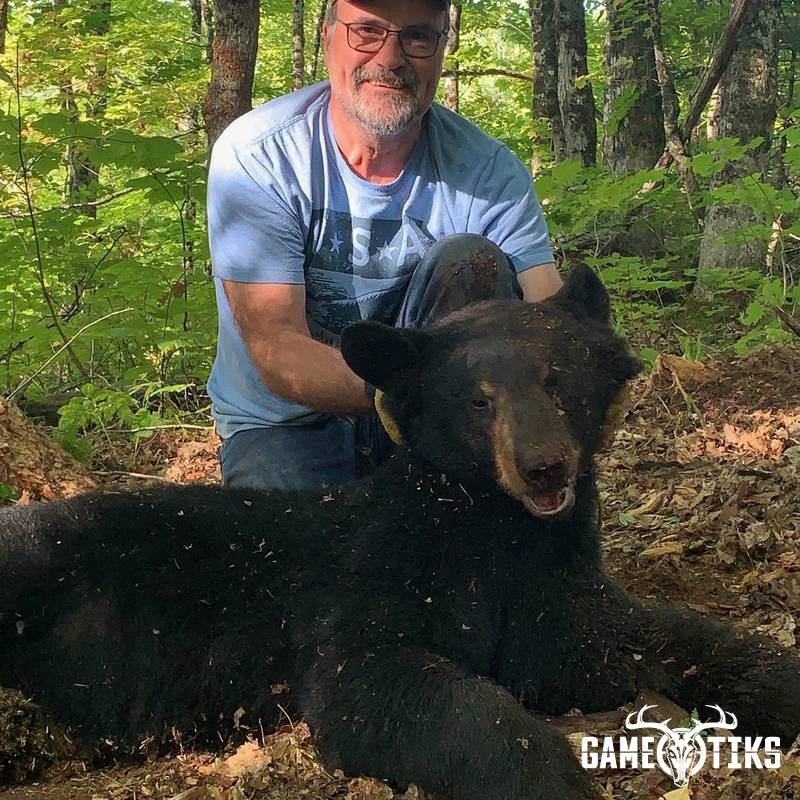 bear harvest by Northeast Wilderness Outfitters