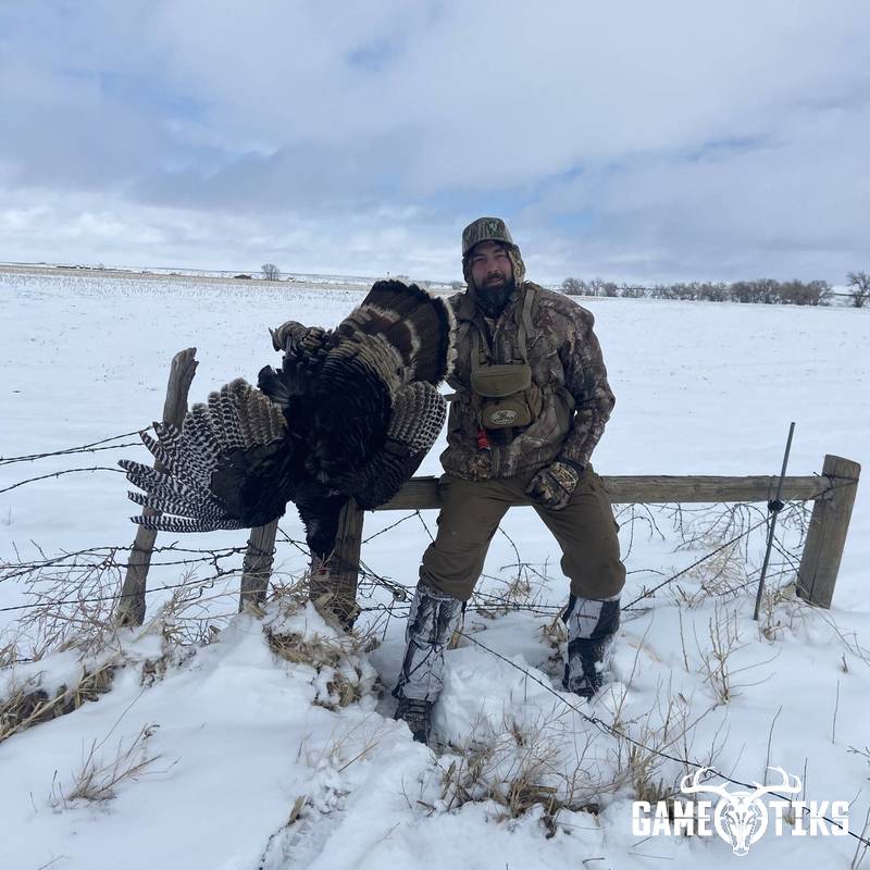 turkey harvest by Roger Burwell