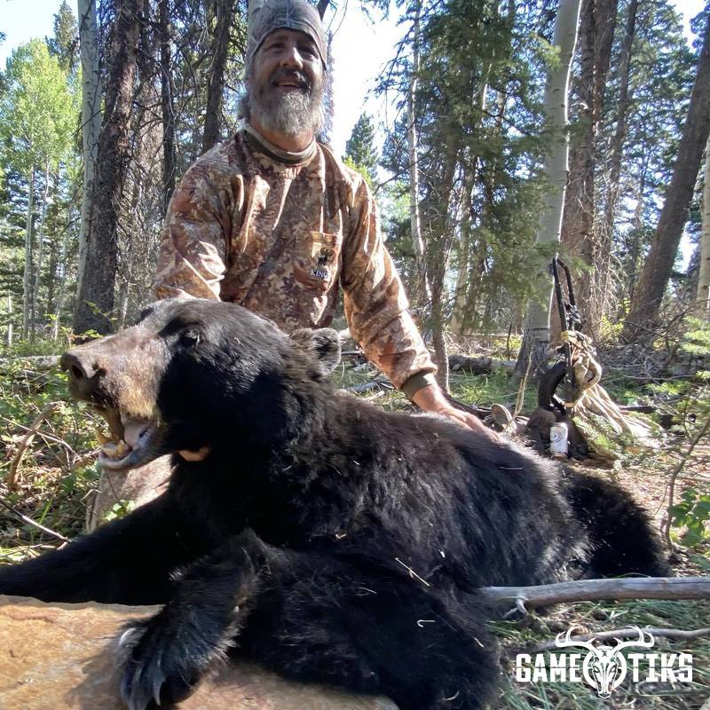 bear harvest by Black Mountain Hunts LLC