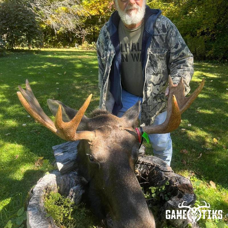 moose harvest by Operation ReBoot Outdoors