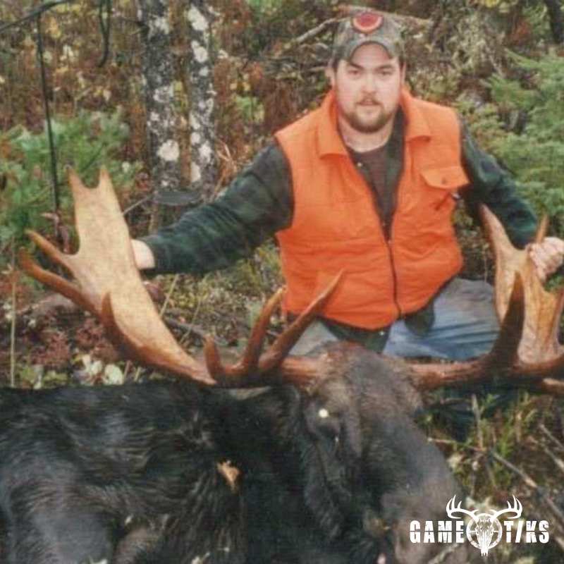 moose harvest by Chris Lawlor