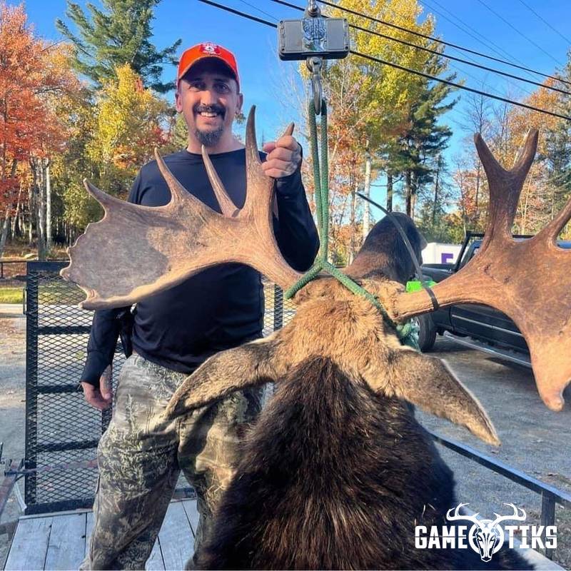 moose harvest by Operation ReBoot Outdoors
