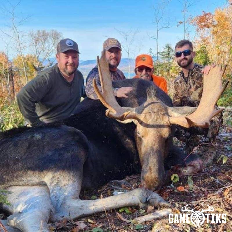 moose harvest by Operation ReBoot Outdoors