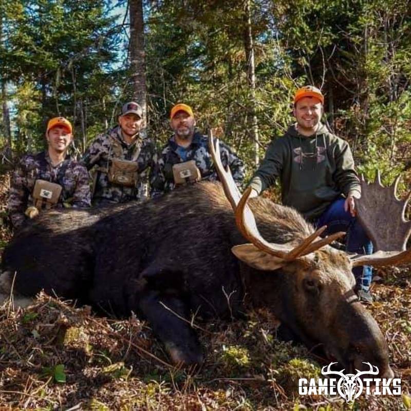 moose harvest by Operation ReBoot Outdoors