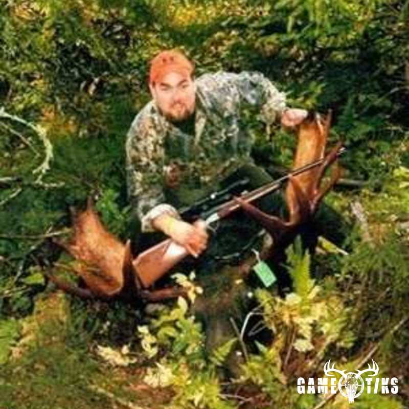moose harvest by Chris Lawlor
