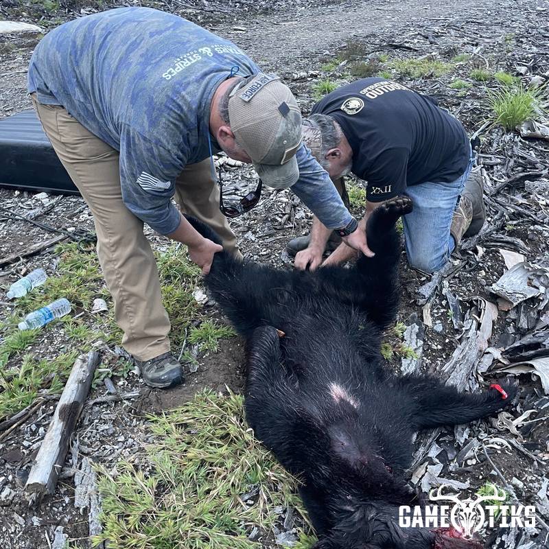 bear harvest by Operation ReBoot Outdoors