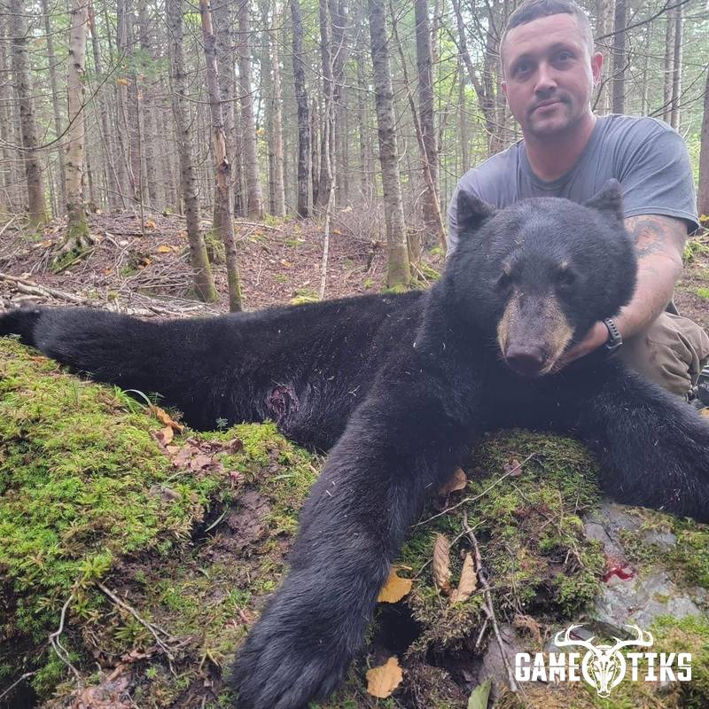 bear harvest by Operation ReBoot Outdoors