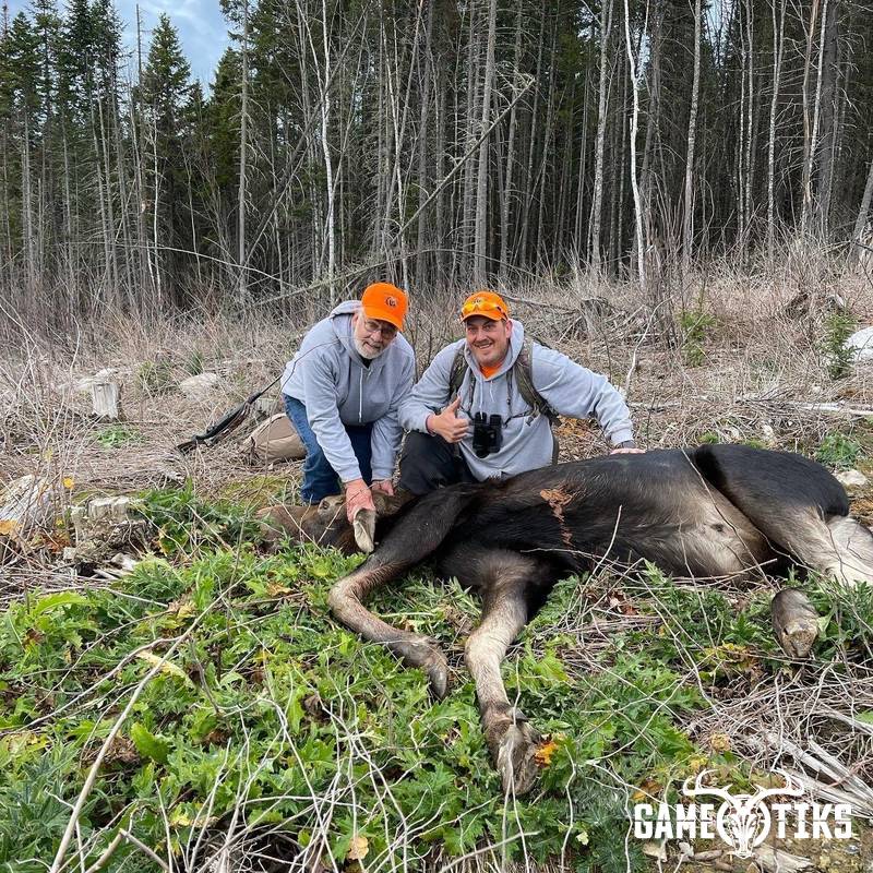 moose harvest by Erik Gagnon