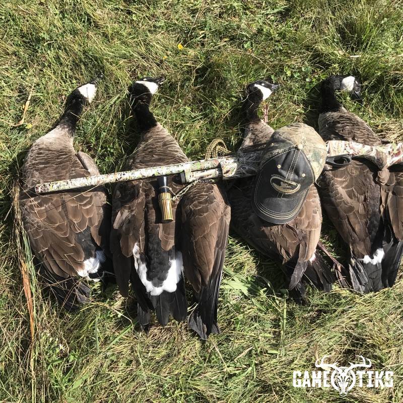 waterfowl harvest by Erik Gagnon