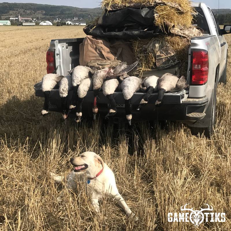 waterfowl harvest by Erik Gagnon