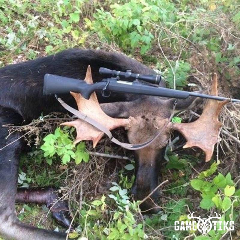 moose harvest by Erik Gagnon
