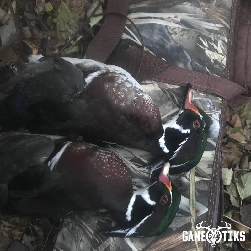waterfowl harvest by Erik Gagnon