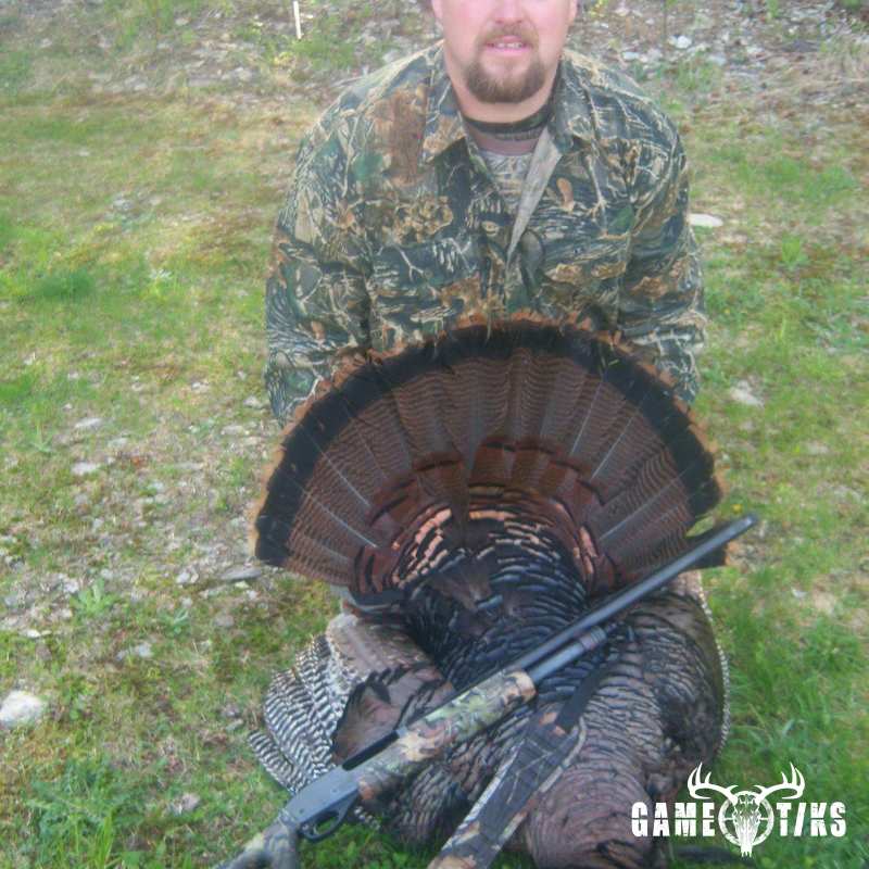 turkey harvest by Chris Lawlor