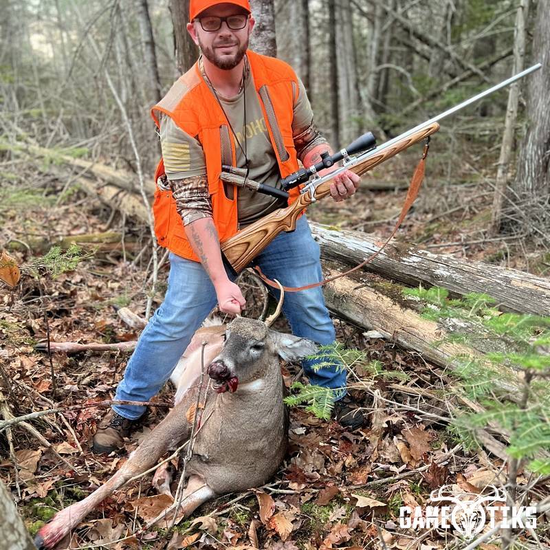 deer harvest by Gavin