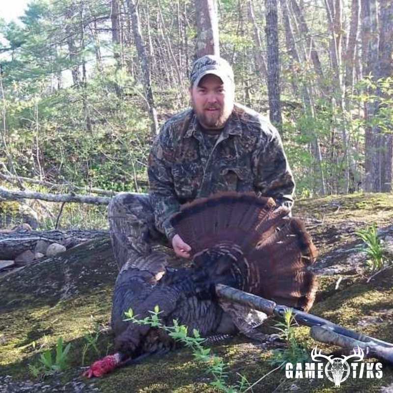 turkey harvest by Chris Lawlor