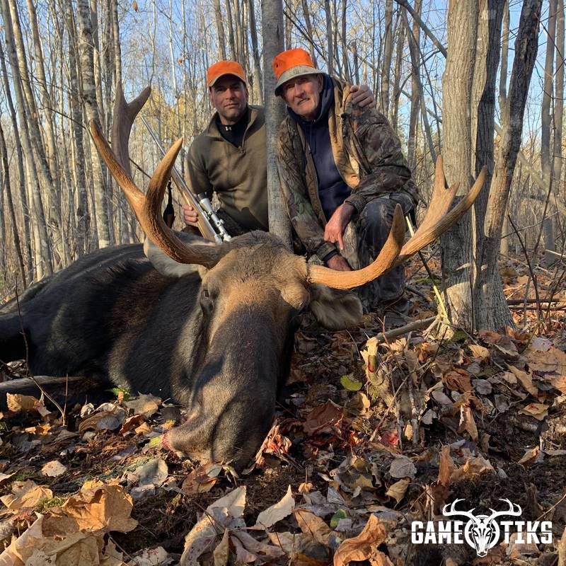 moose harvest by Maine Experience Guide Service