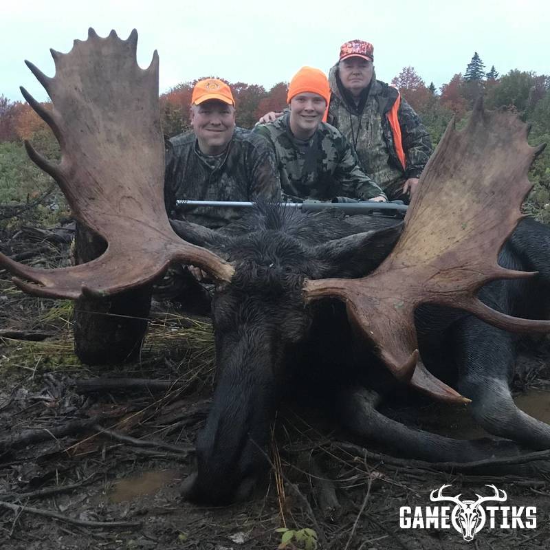 moose harvest by Maine Experience Guide Service