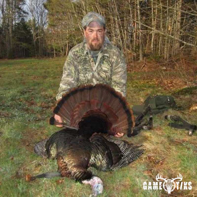 turkey harvest by Chris Lawlor