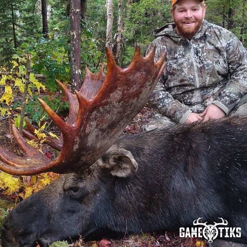 moose harvest by Cody Raven