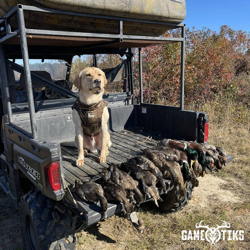 waterfowl harvest by Matt Queen