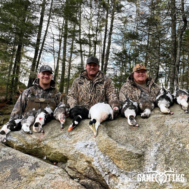 waterfowl harvest by Maine Experience Guide Service