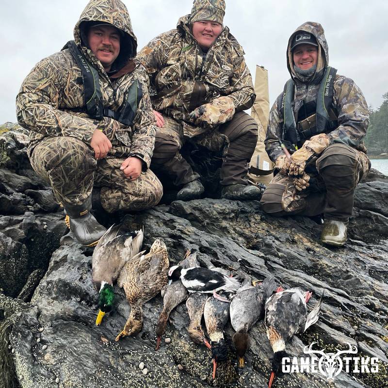 waterfowl harvest by Maine Experience Guide Service