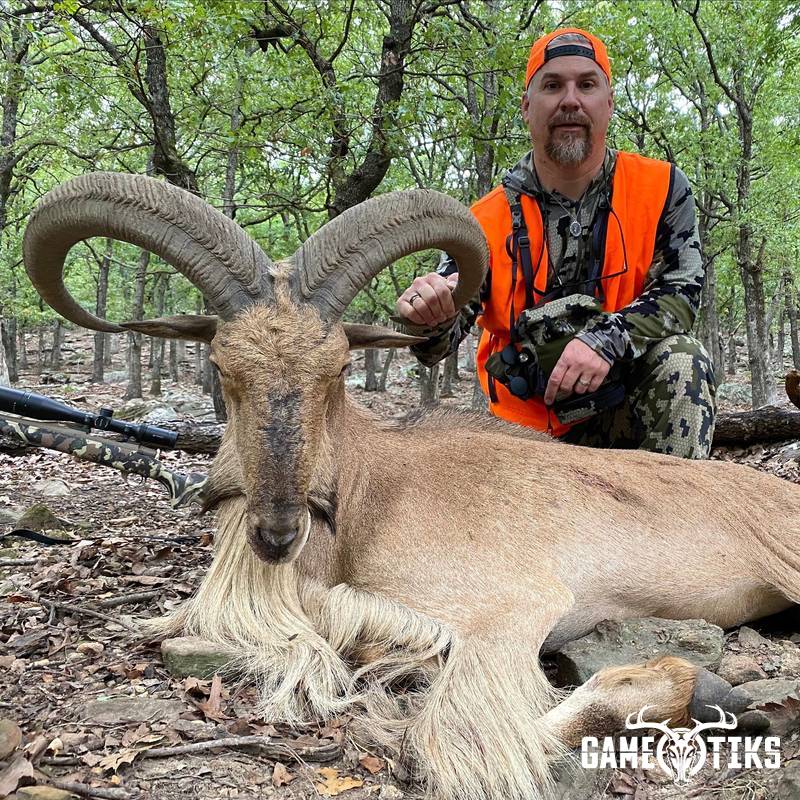 bovid harvest by Black Mountain Hunts LLC