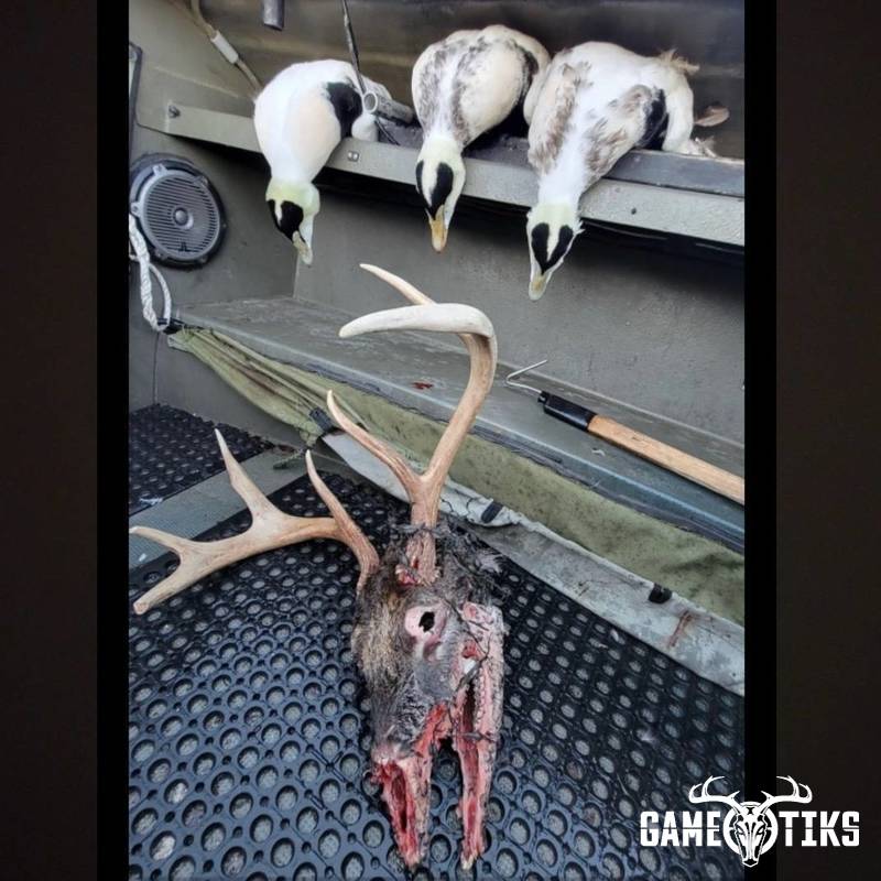 shed_antler harvest by Marsh River Outfitters