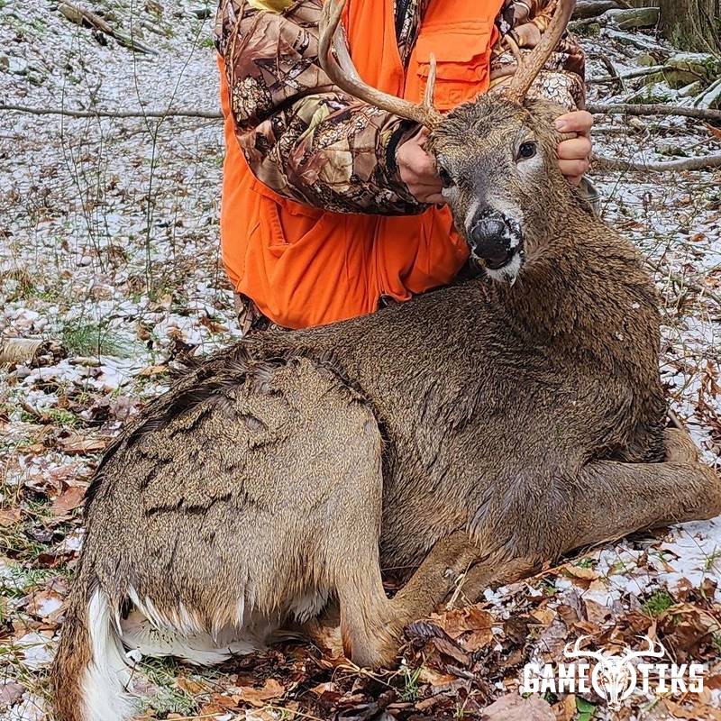 deer harvest by Luke W. Zebrowski