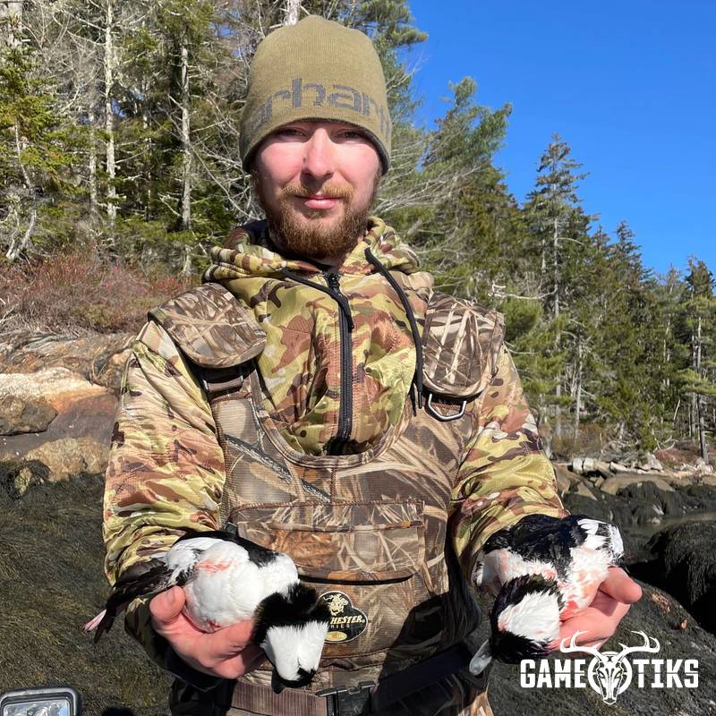 waterfowl harvest by Maine Experience Guide Service