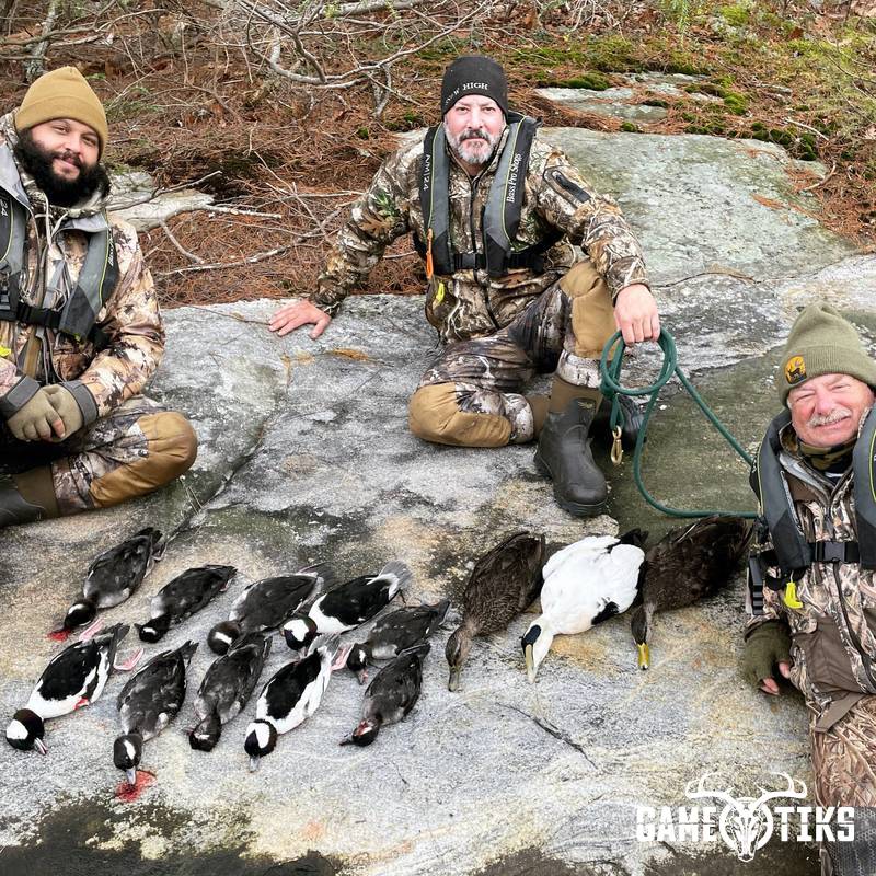 waterfowl harvest by Maine Experience Guide Service