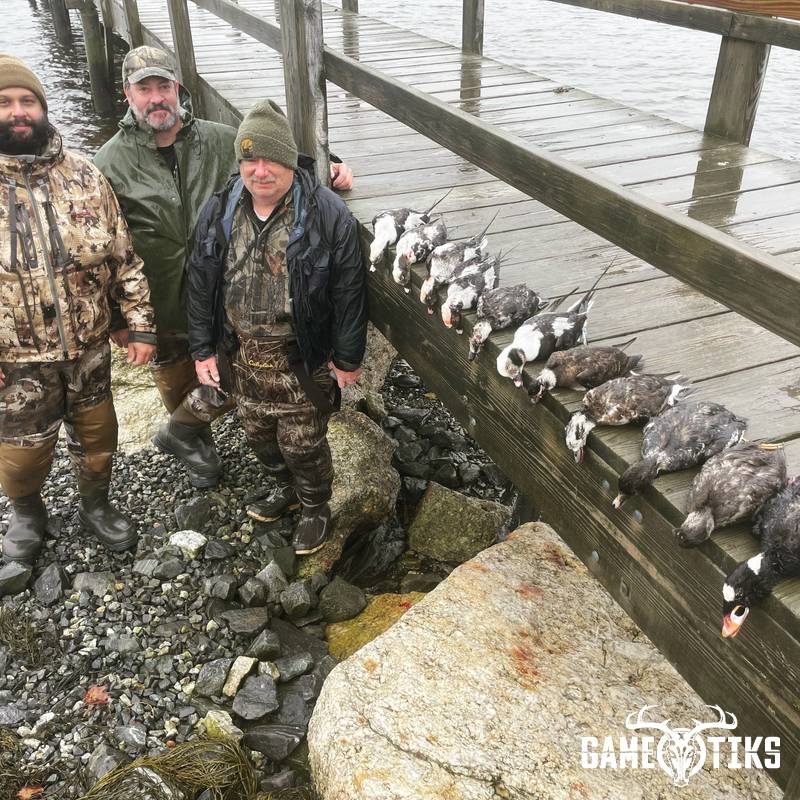 waterfowl harvest by Maine Experience Guide Service