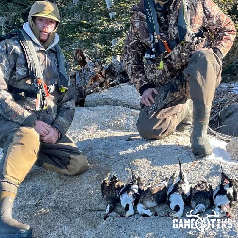 waterfowl harvest by Maine Experience Guide Service