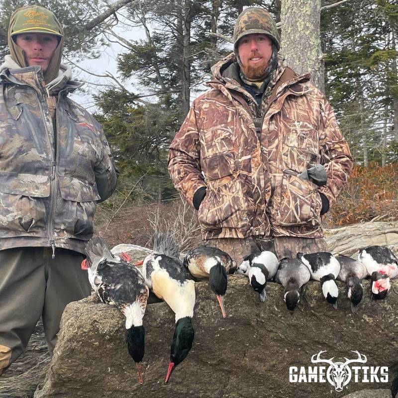 waterfowl harvest by Maine Experience Guide Service