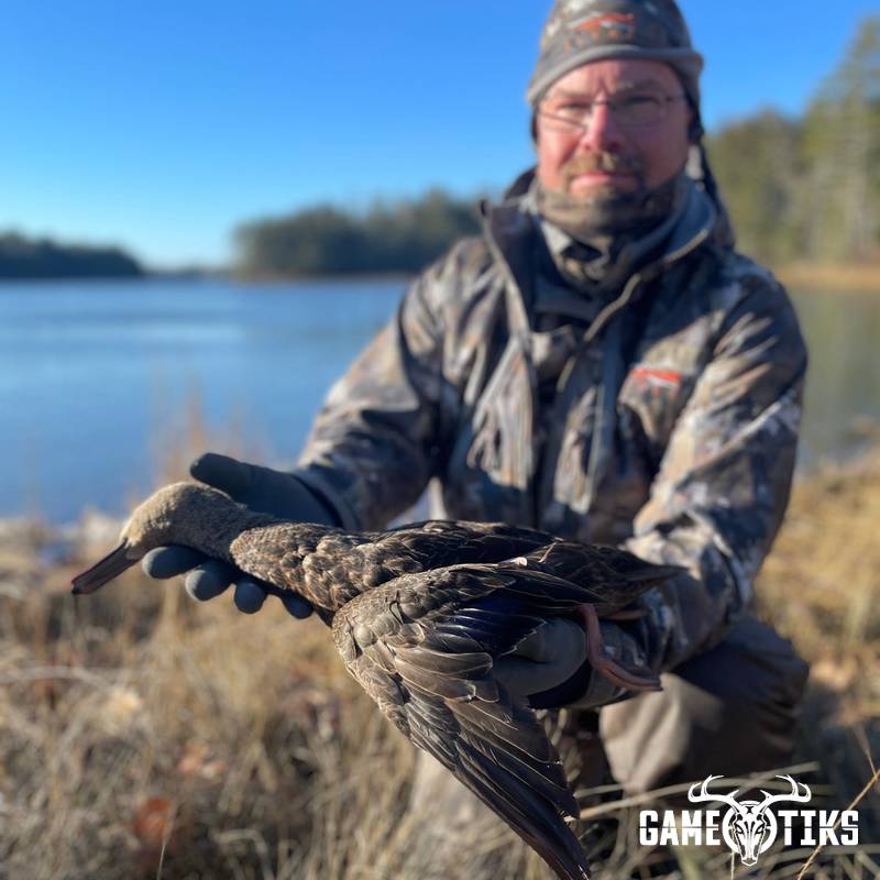 waterfowl harvest by Maine Experience Guide Service