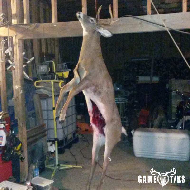 deer harvest by Rodney Gibbs
