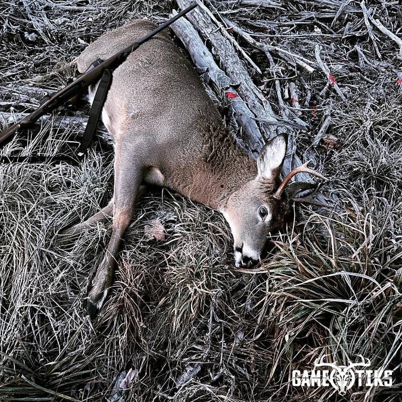 deer harvest by Darren Harriman