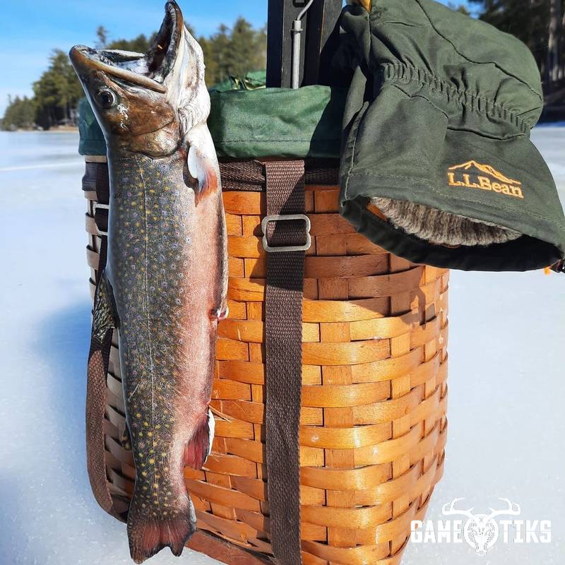 fish harvest by Troy Fields, Traditions Guide Service