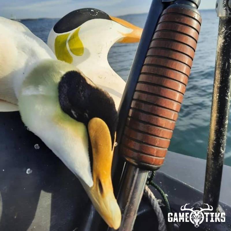 waterfowl harvest by Troy Fields, Traditions Guide Service